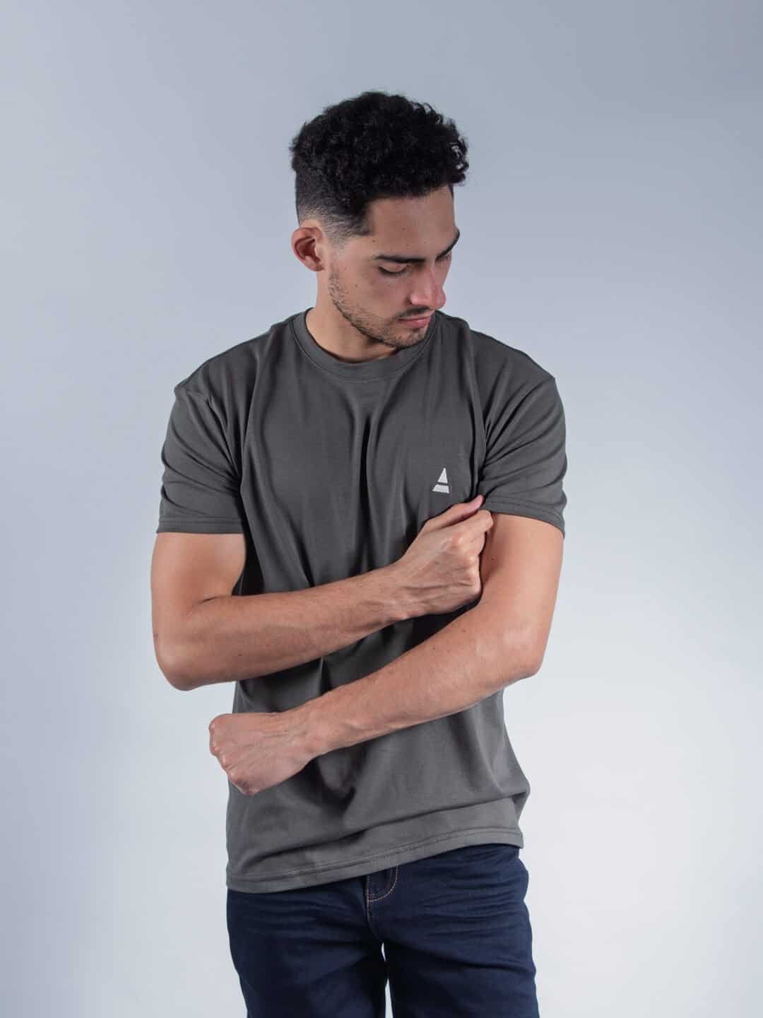 Camiseta Verde Regular Fit LAR Hombre