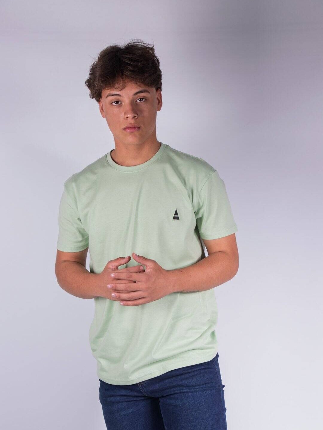 Camiseta Verde Regular Fit LAR